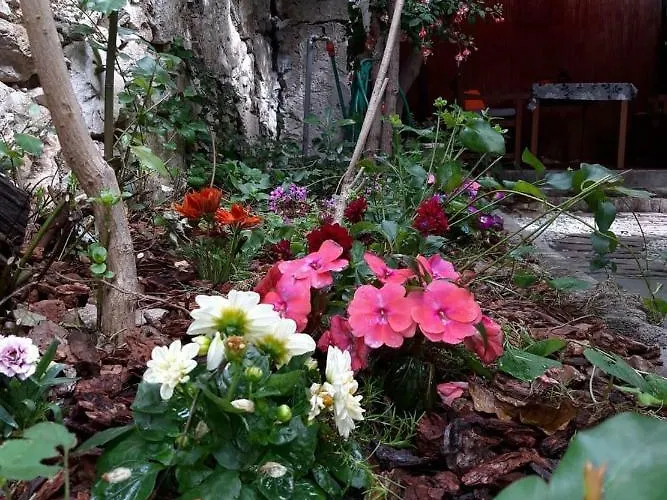 דירה Authentic 2 באסקה